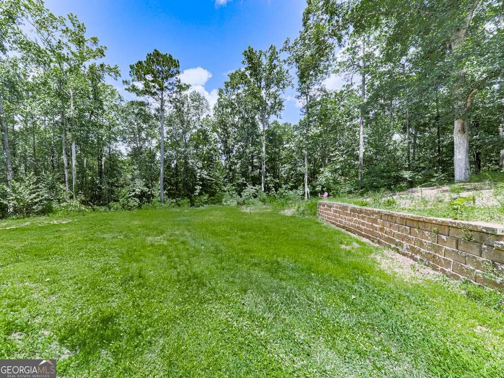241 Rose Ridge Drive Canton - 16