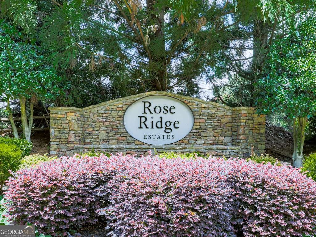 241 Rose Ridge Drive Canton - 17