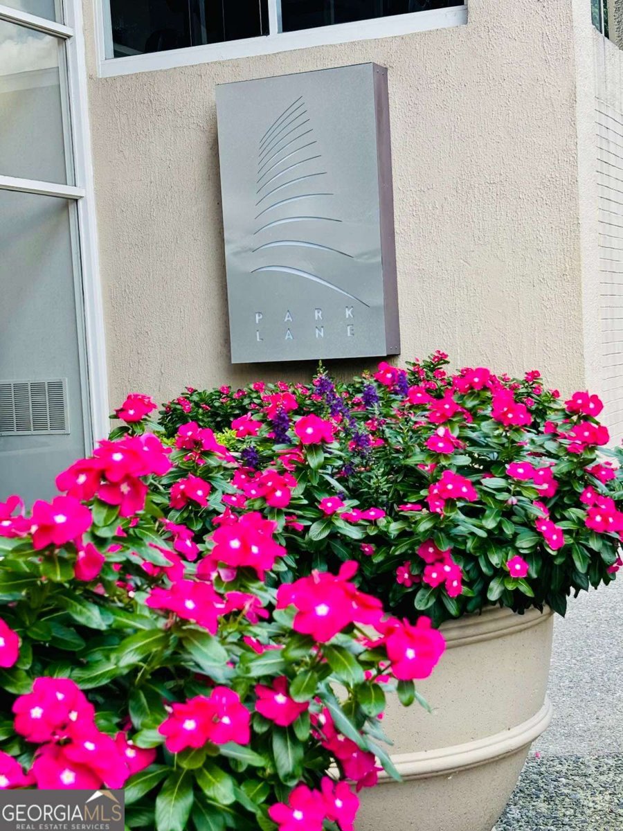 2479 Peachtree Road Atlanta - 23