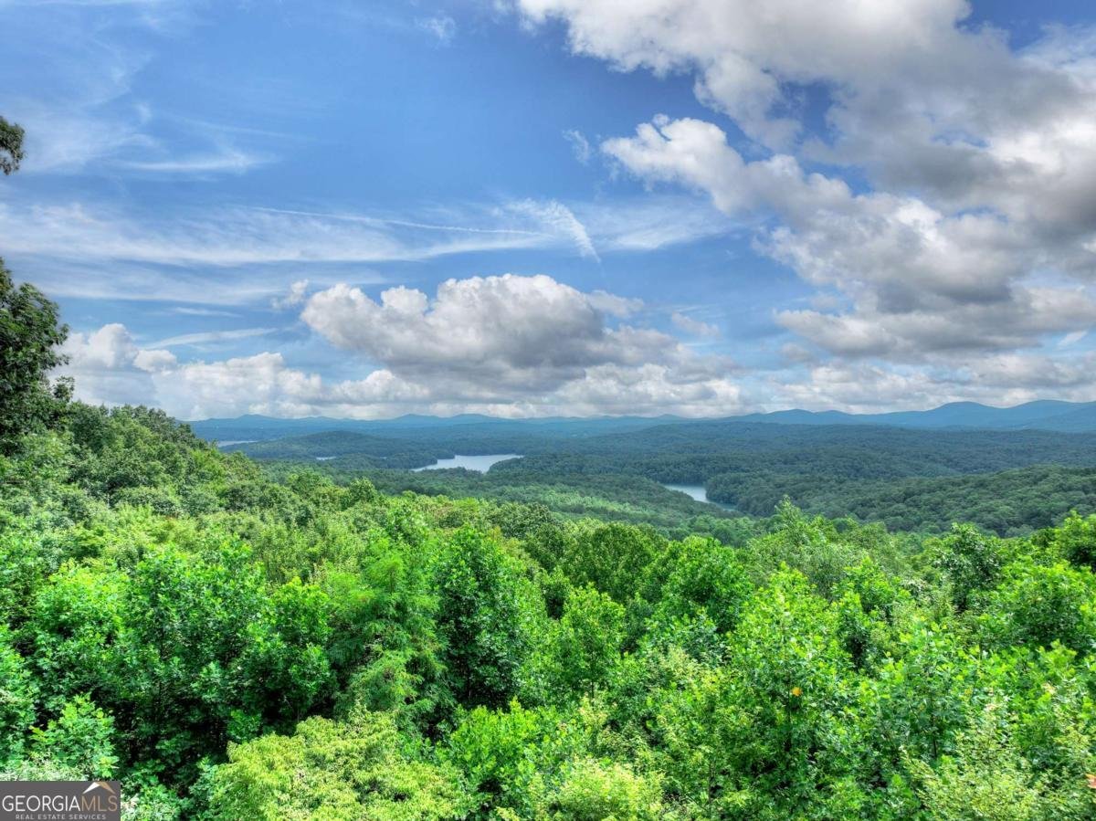 857 Lakeview Drive Blue Ridge - 37