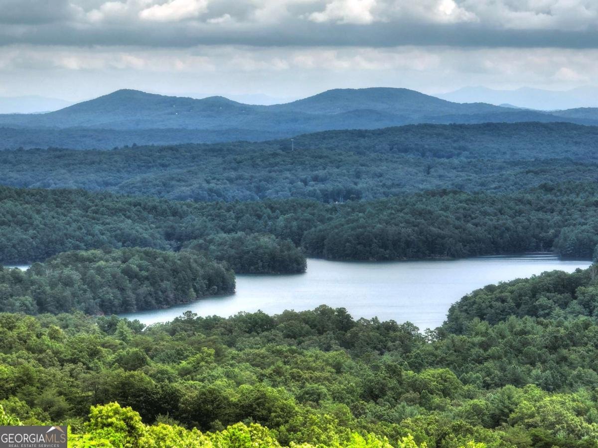 857 Lakeview Drive Blue Ridge - 4