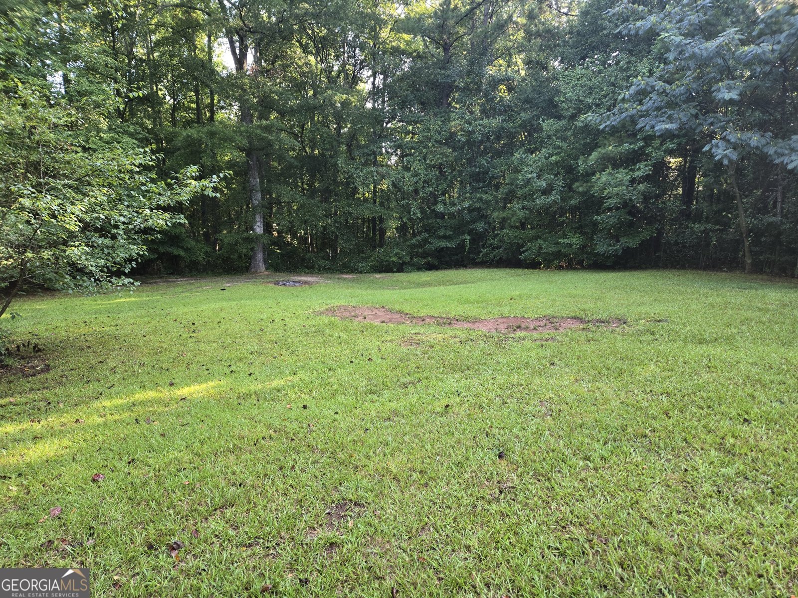 7542 Gordon Road Senoia - 4