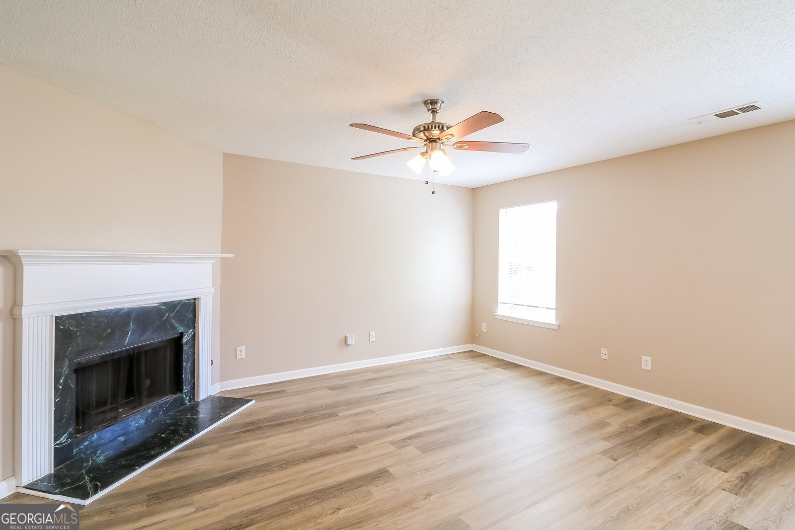 1119 Saint Phillips Court Locust Grove - 6