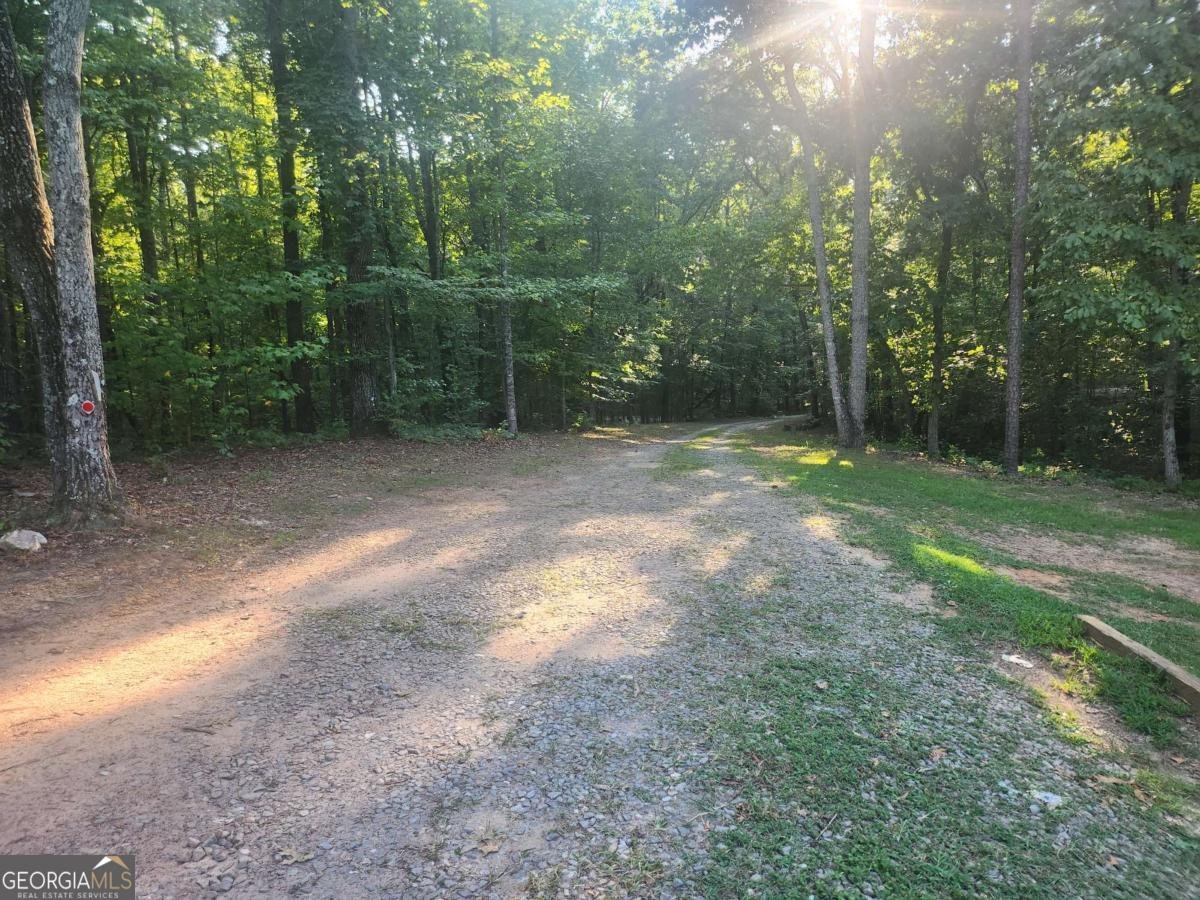 340 Pat Rich Drive Canton - 6