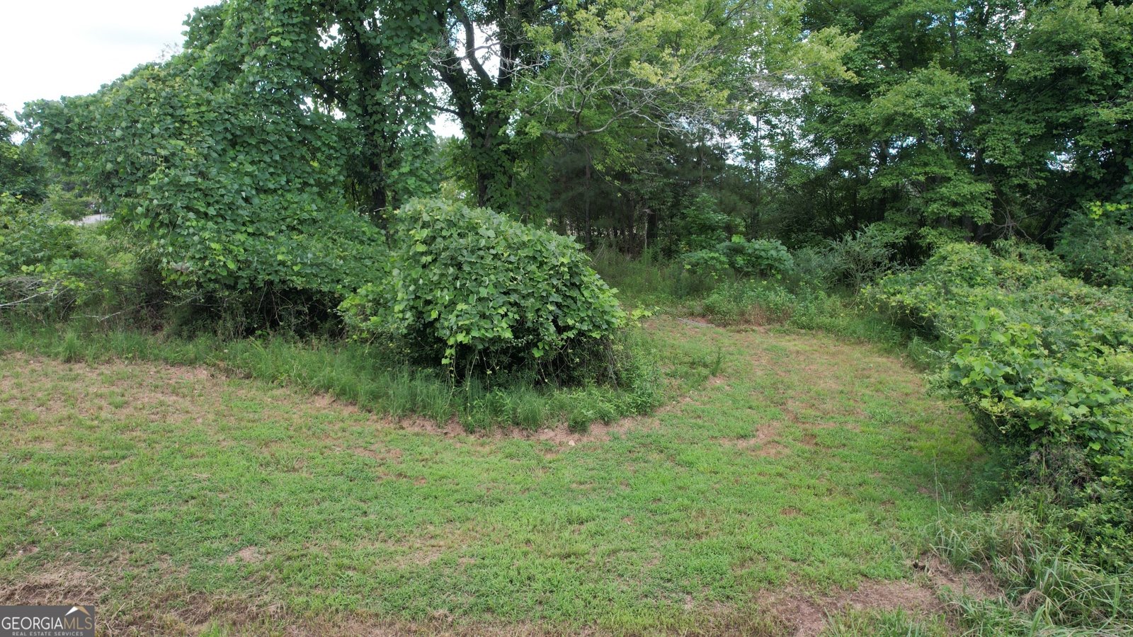 930 Cantrell Road Marble Hill - 3
