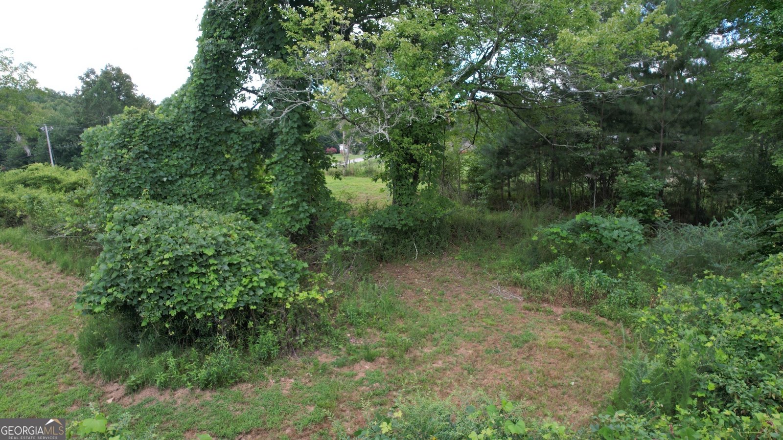 930 Cantrell Road Marble Hill - 4