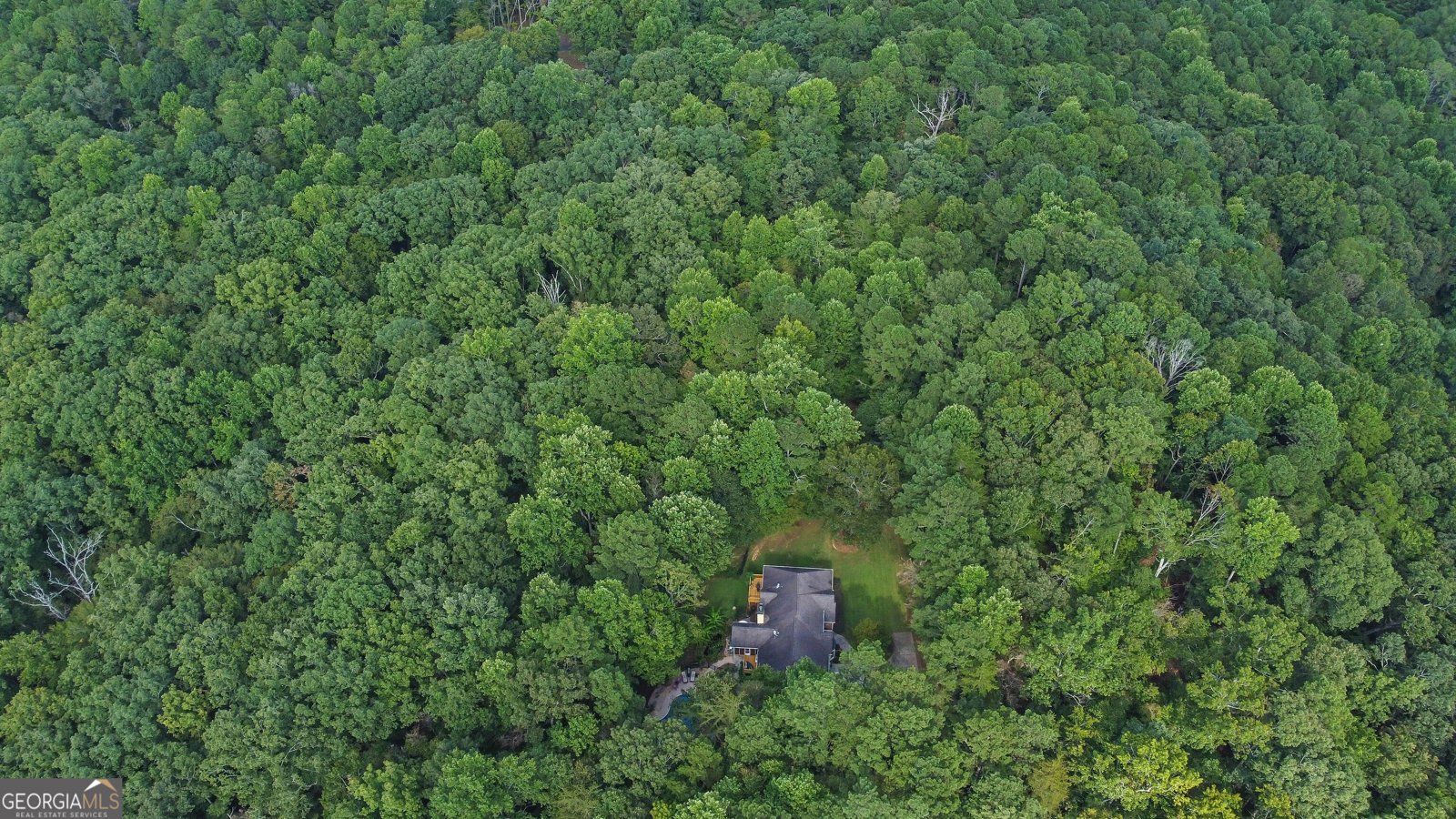 241 Wild Turkey Ridge Ball Ground - 57