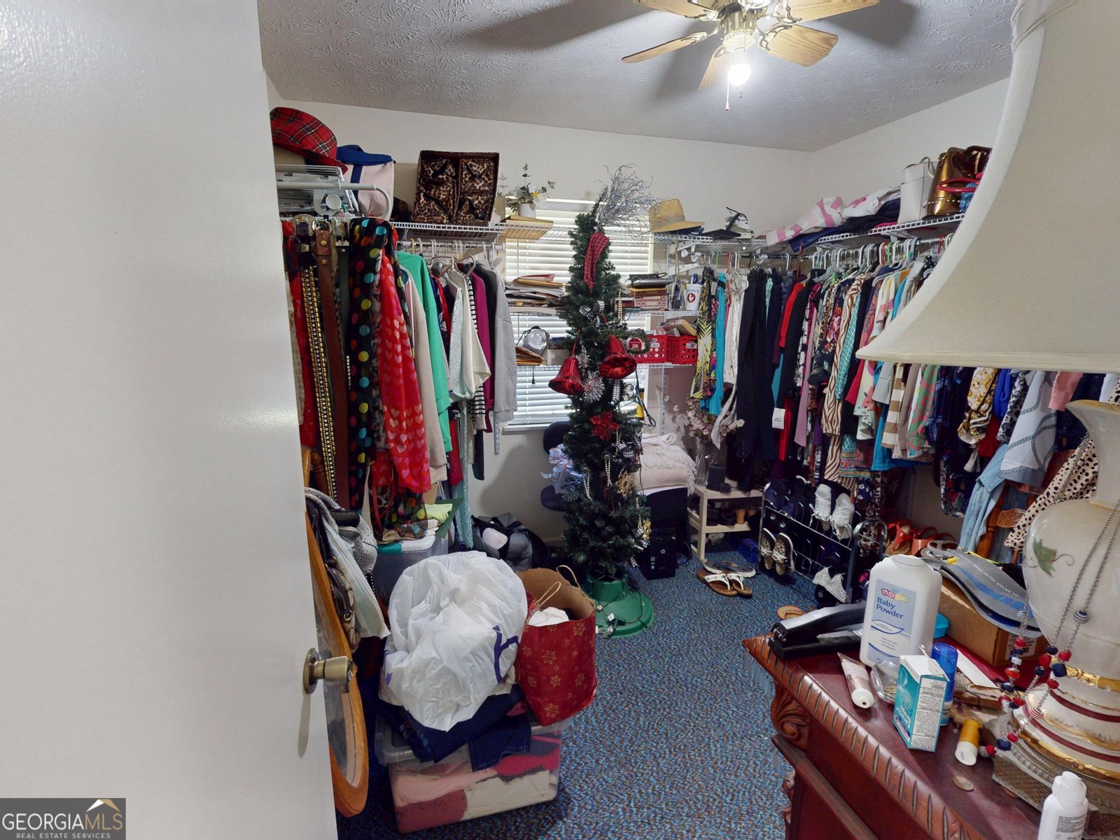 115 Anns Drive Swainsboro - 30