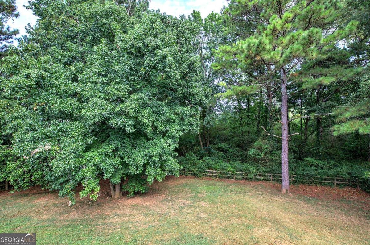 14 Brook Hollow Lane Cartersville - 48