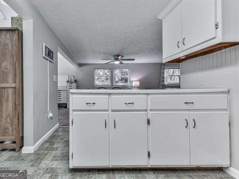 543 Holly Springs Road Woodstock - 10