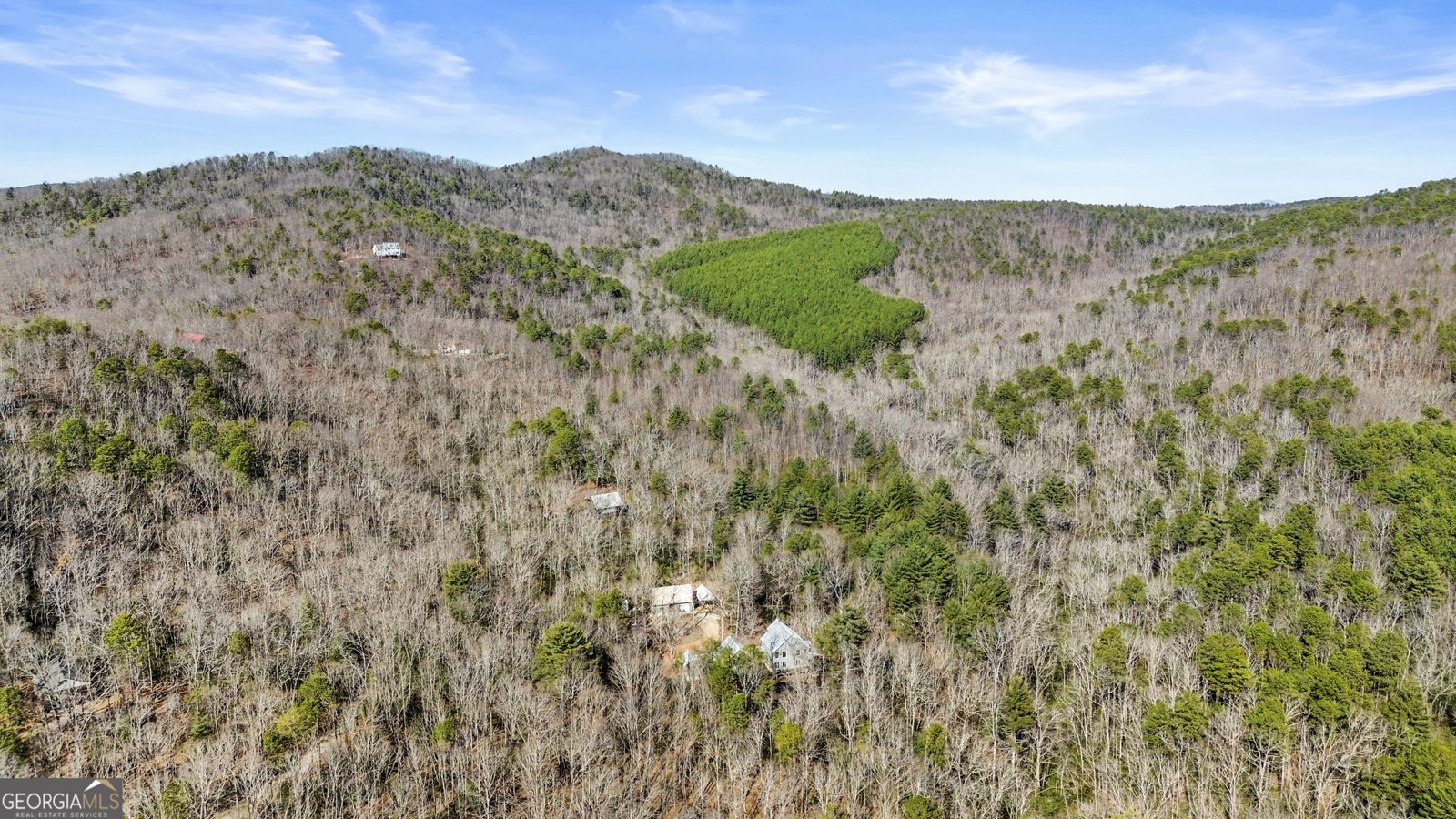 600 Glendale Drive Clarkesville - 36