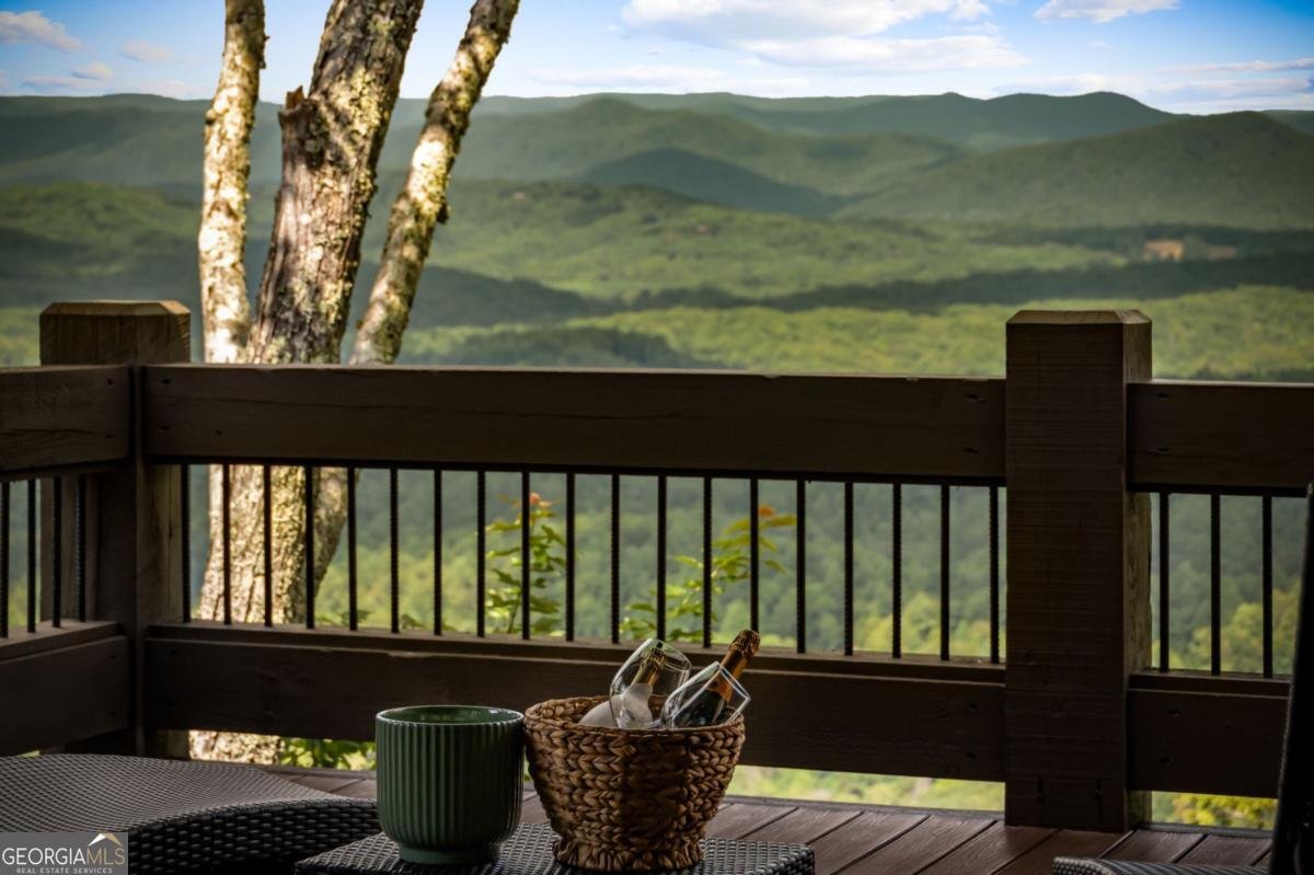 520 Overlook Drive Blue Ridge - 51