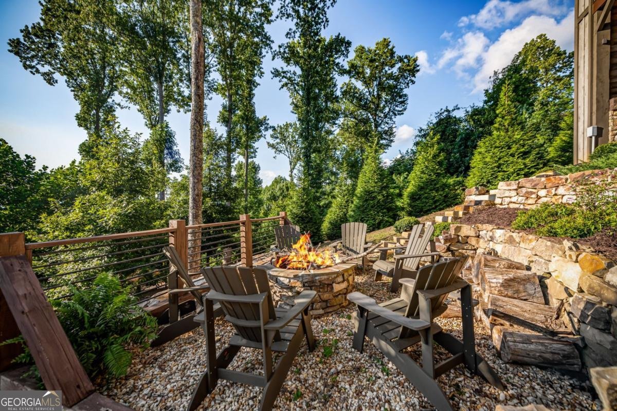520 Overlook Drive Blue Ridge - 68