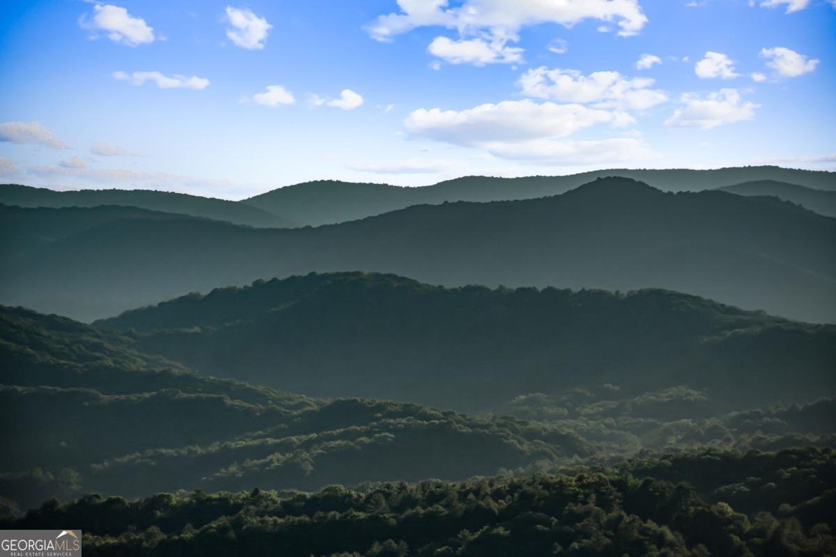 520 Overlook Drive Blue Ridge - 69
