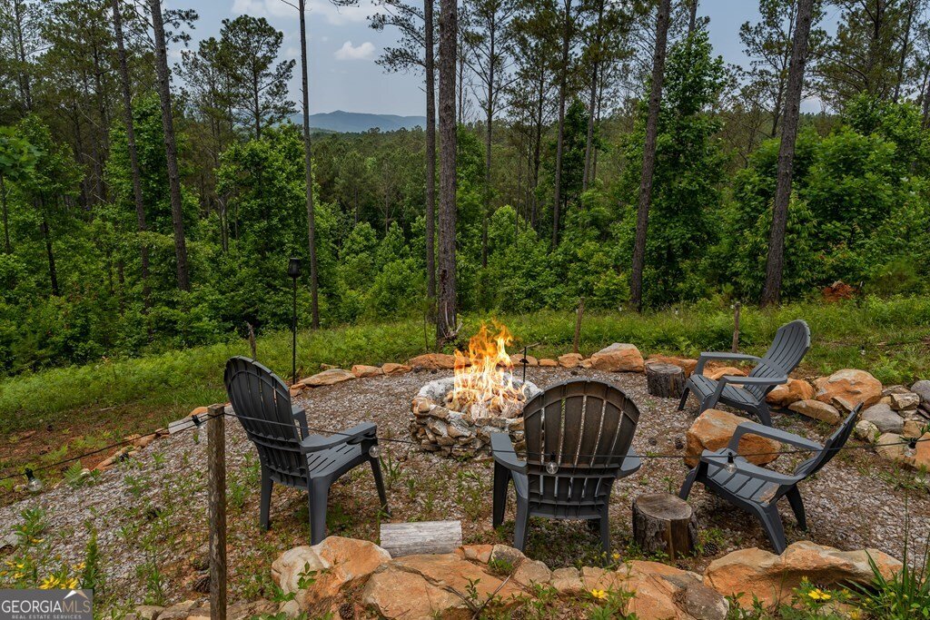 230 High River Landing Ellijay - 20