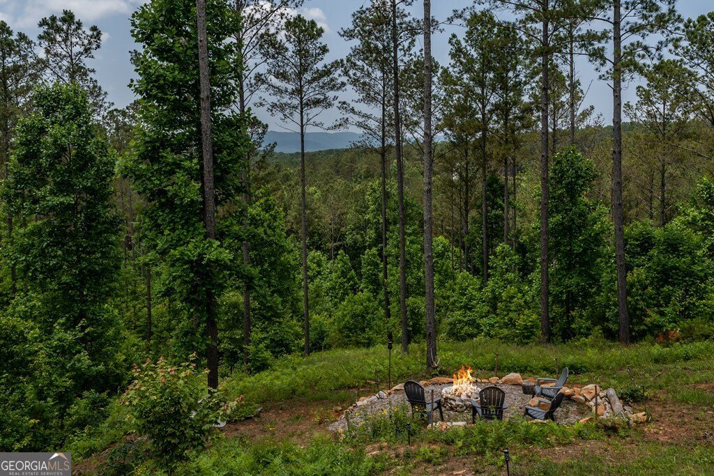 230 High River Landing Ellijay - 22
