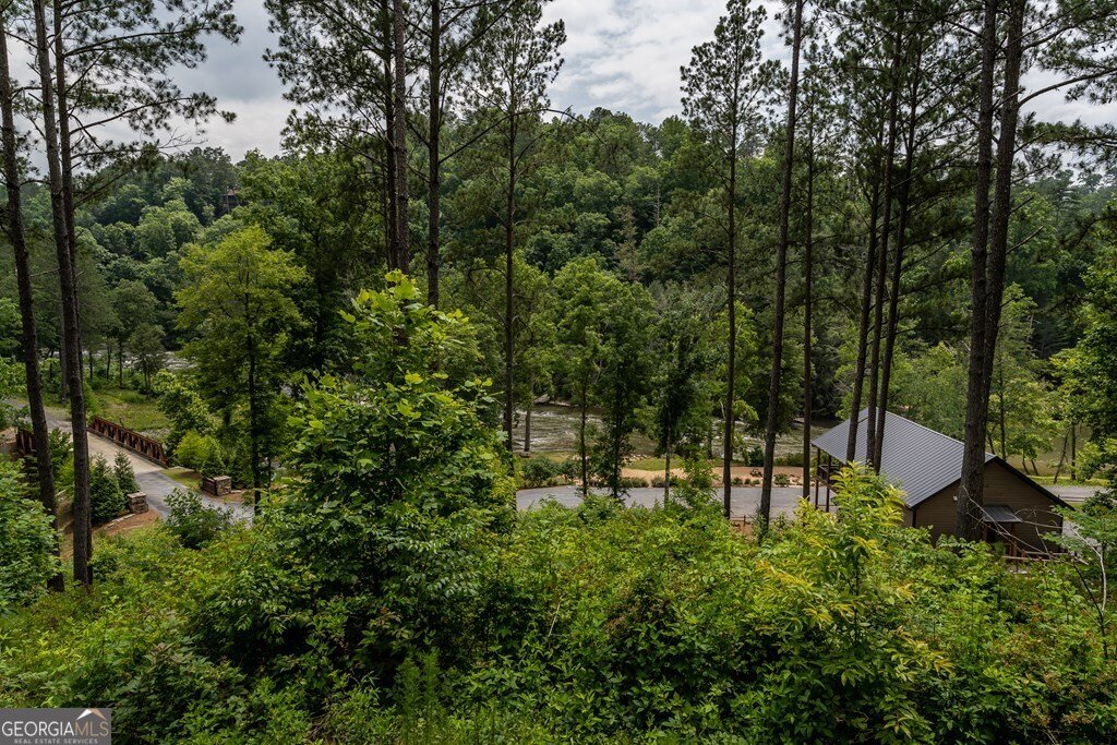 230 High River Landing Ellijay - 3