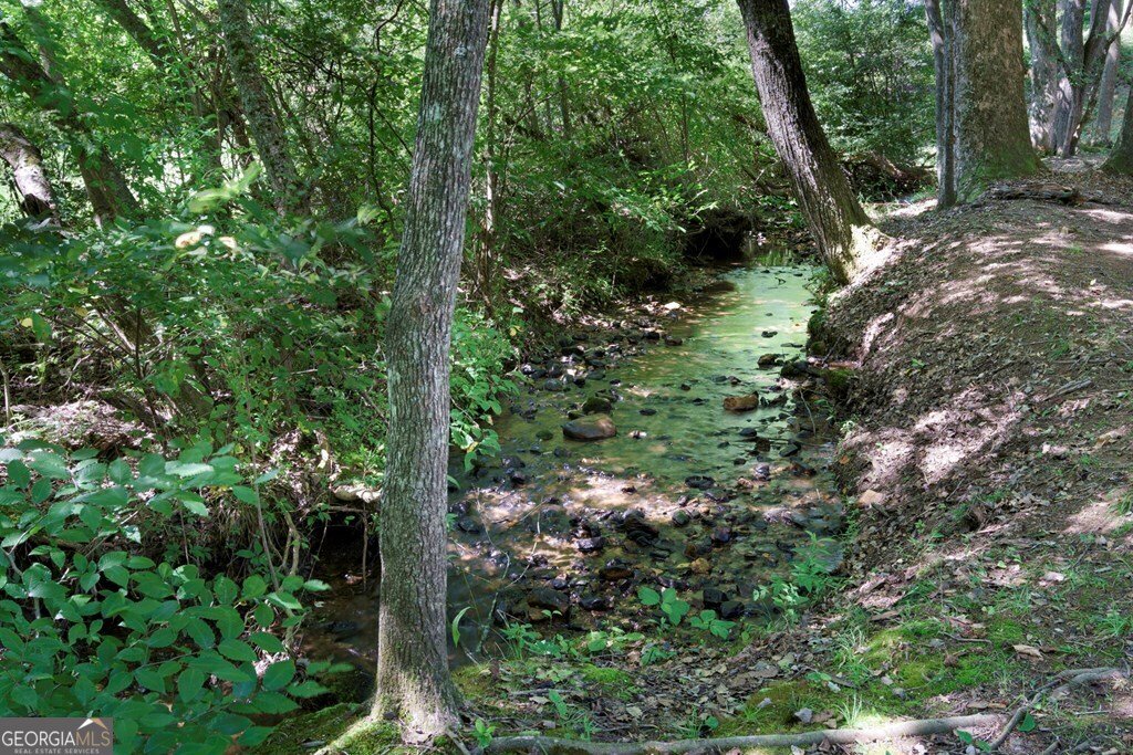 2760 Fodder Creek Road Hiawassee - 28