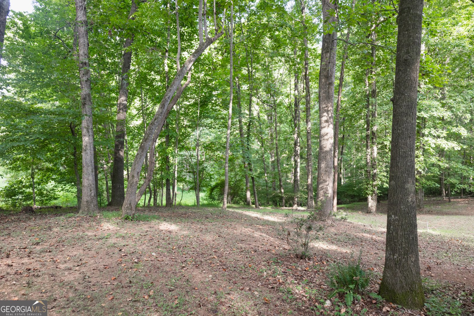 641 Horton Road Dahlonega - 28