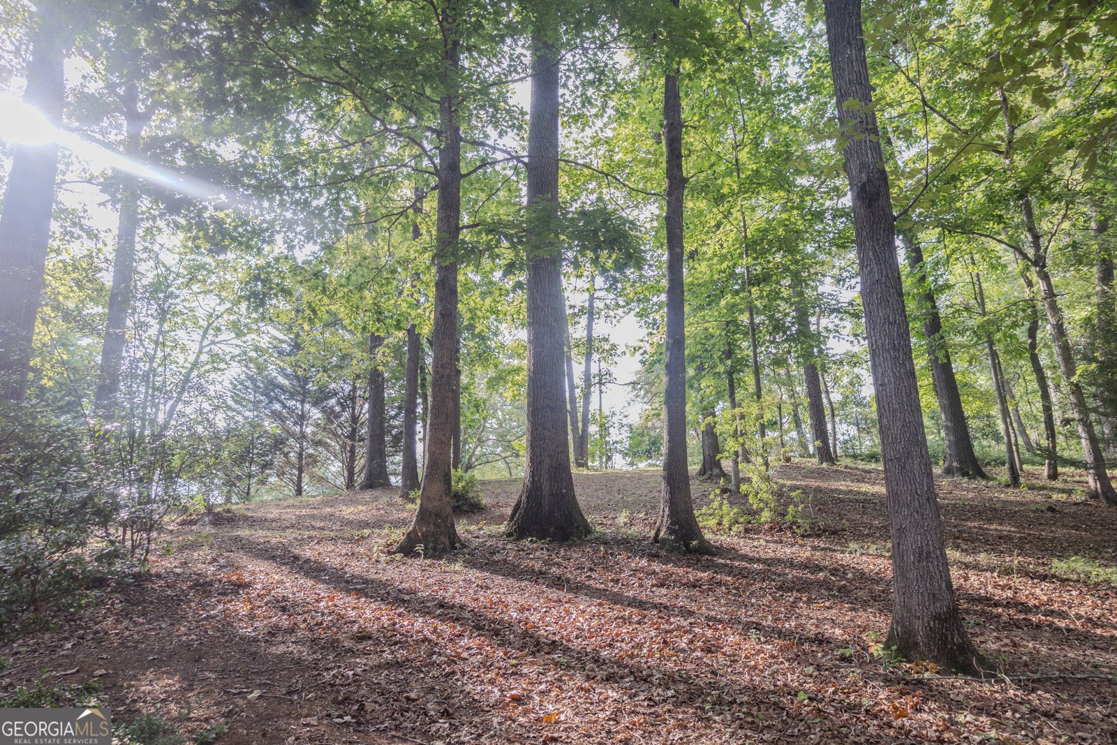 641 Horton Road Dahlonega - 34