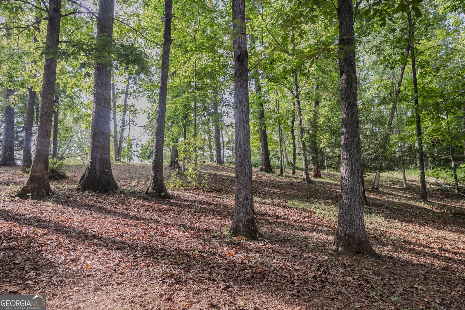 641 Horton Road Dahlonega - 35