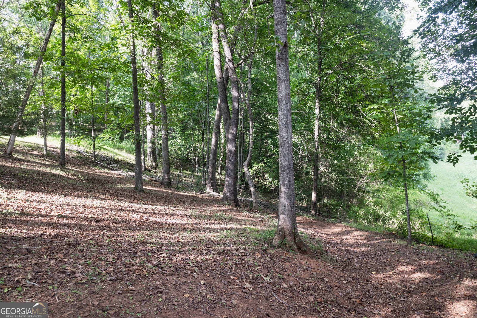 641 Horton Road Dahlonega - 36