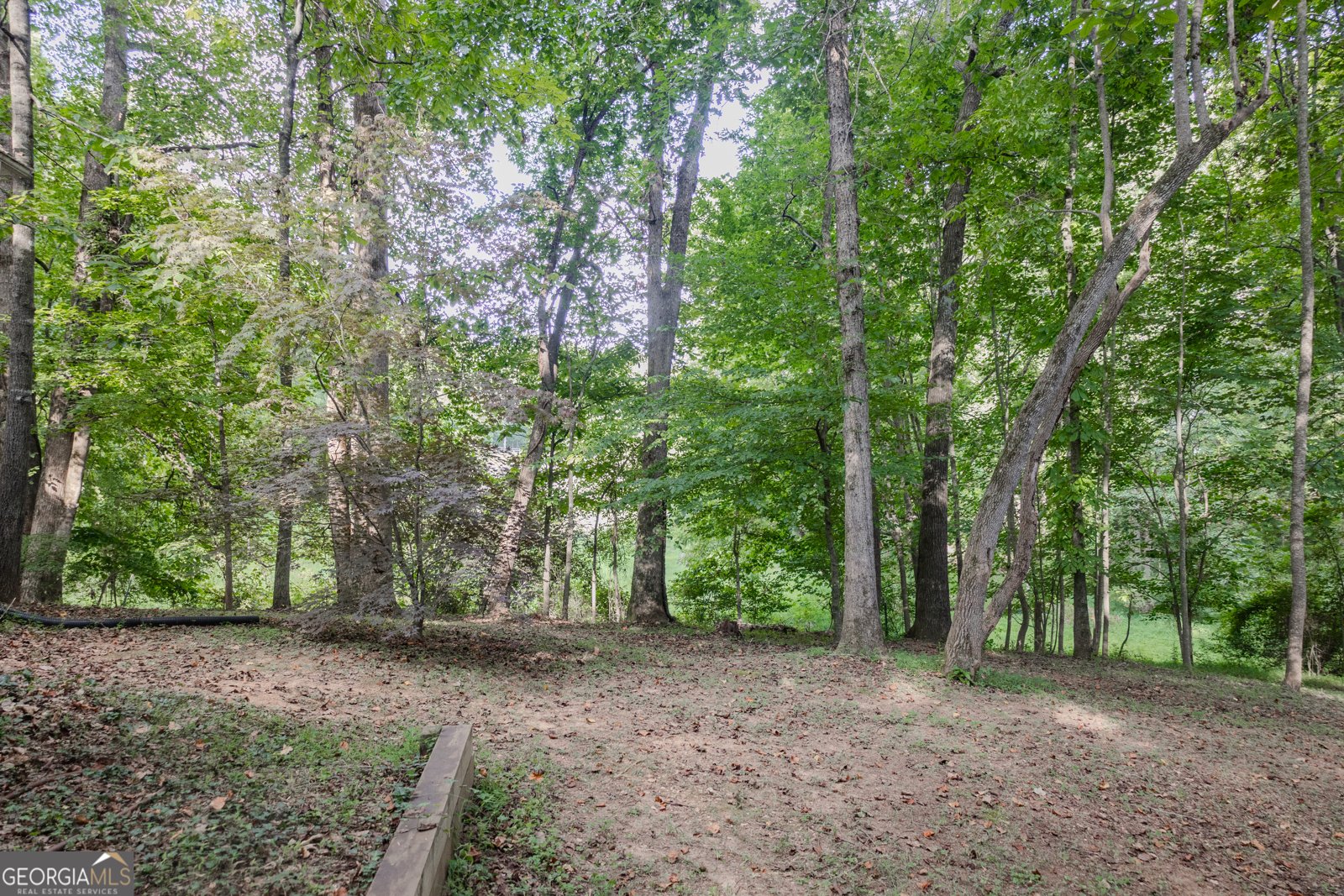 641 Horton Road Dahlonega - 51