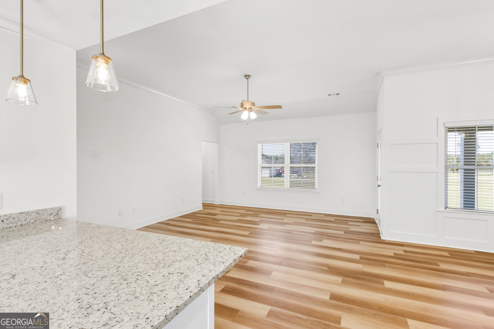 LOT 5 Jack Kennedy Road Statesboro - 10