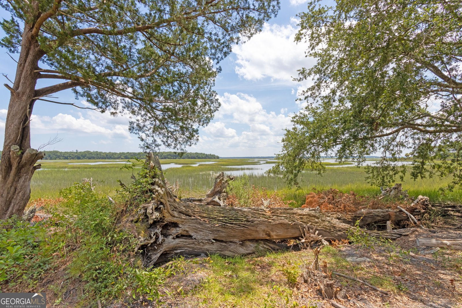 1818 Union Carbide Road Woodbine - 46