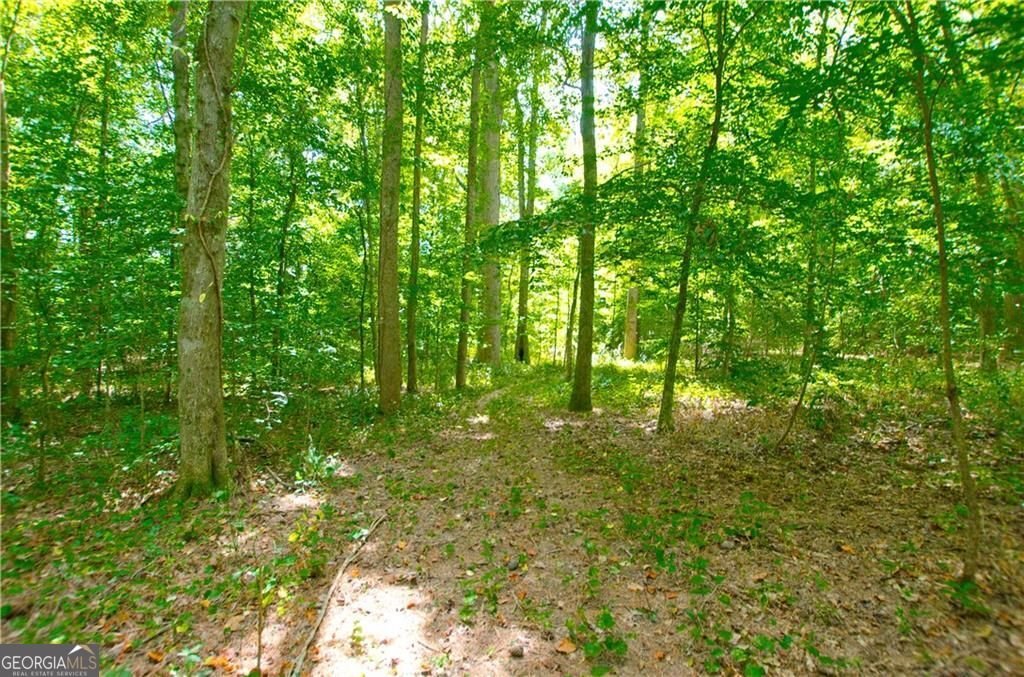 2218 Cross Plains Hulett Road Carrollton - 60