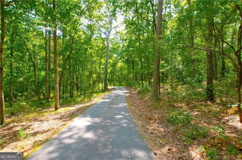 2218 Cross Plains Hulett Road Carrollton - 61