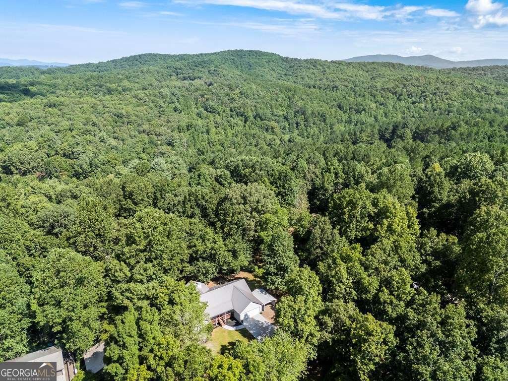 311 Deerwood Trail Road Blairsville - 46
