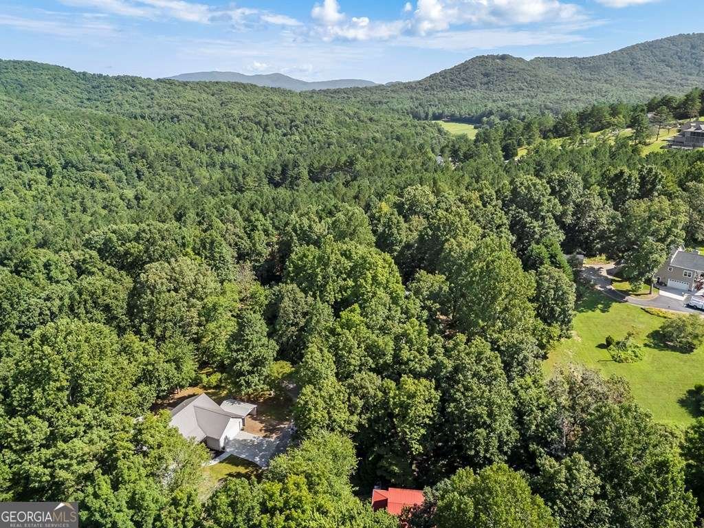 311 Deerwood Trail Road Blairsville - 47
