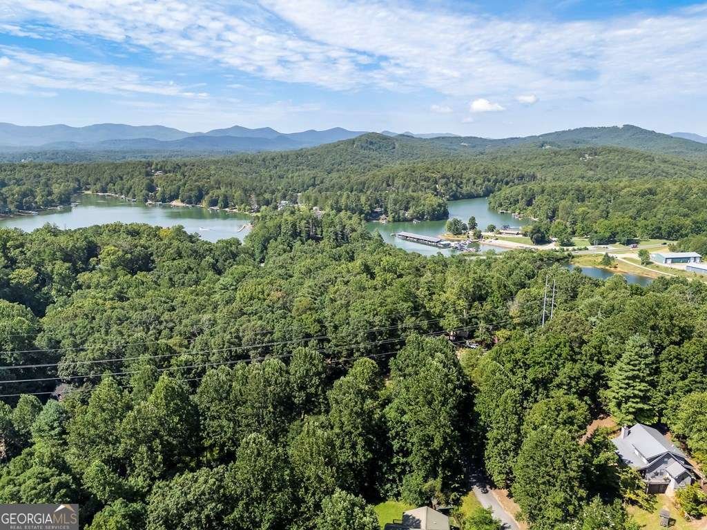311 Deerwood Trail Road Blairsville - 48