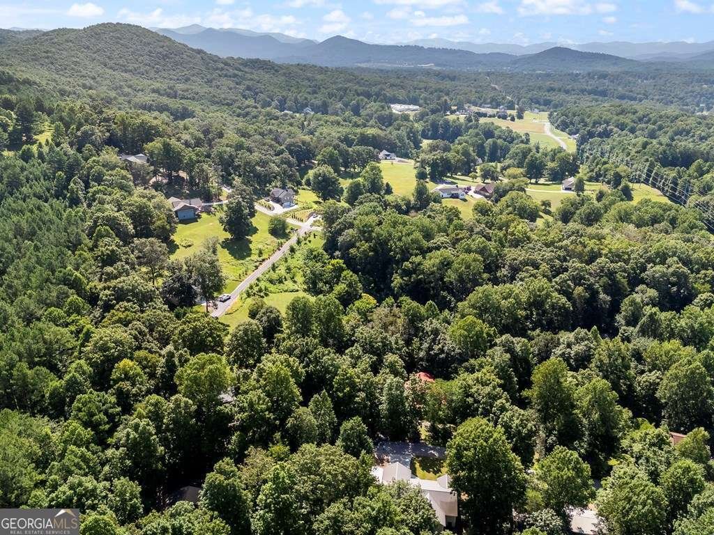311 Deerwood Trail Road Blairsville - 87