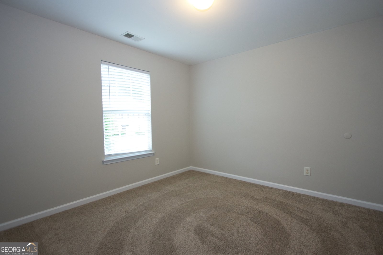 3991 Oak Field Drive Loganville - 33