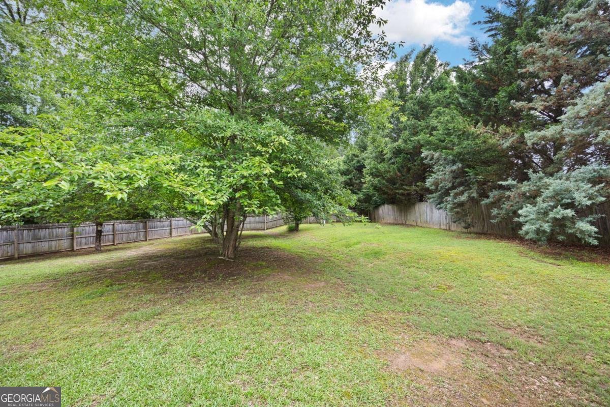 4801 Devonhurst Way Powder Springs - 16
