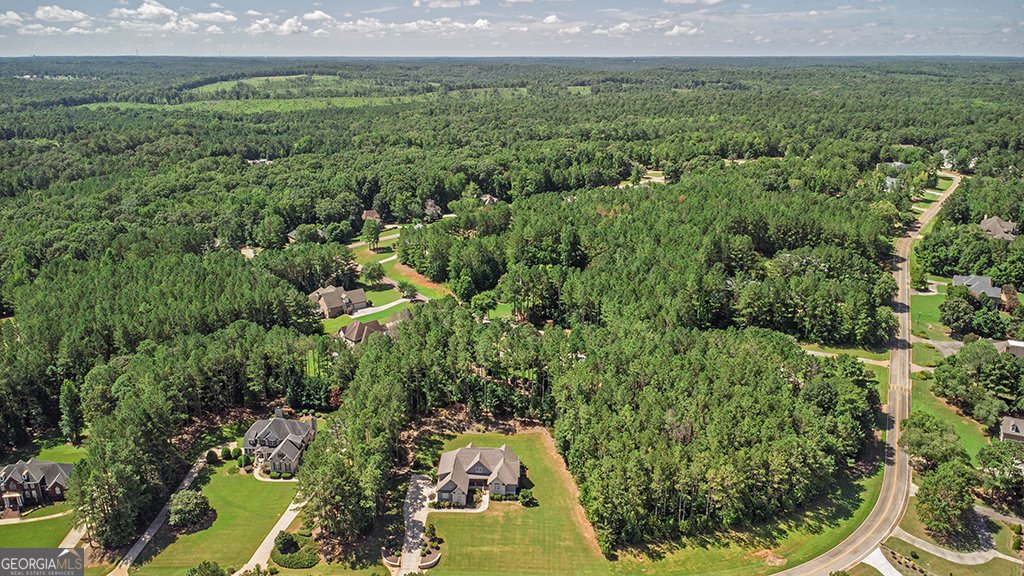 121 Fairway Run Forsyth - 5
