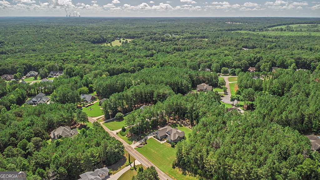 121 Fairway Run Forsyth - 6