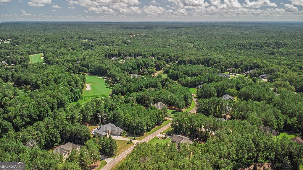 121 Fairway Run Forsyth - 9