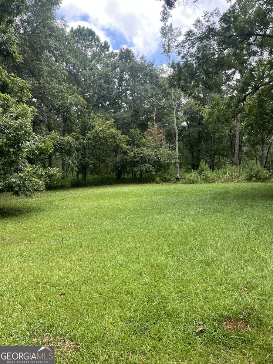 2110 Watson Mill Road Carlton - 27