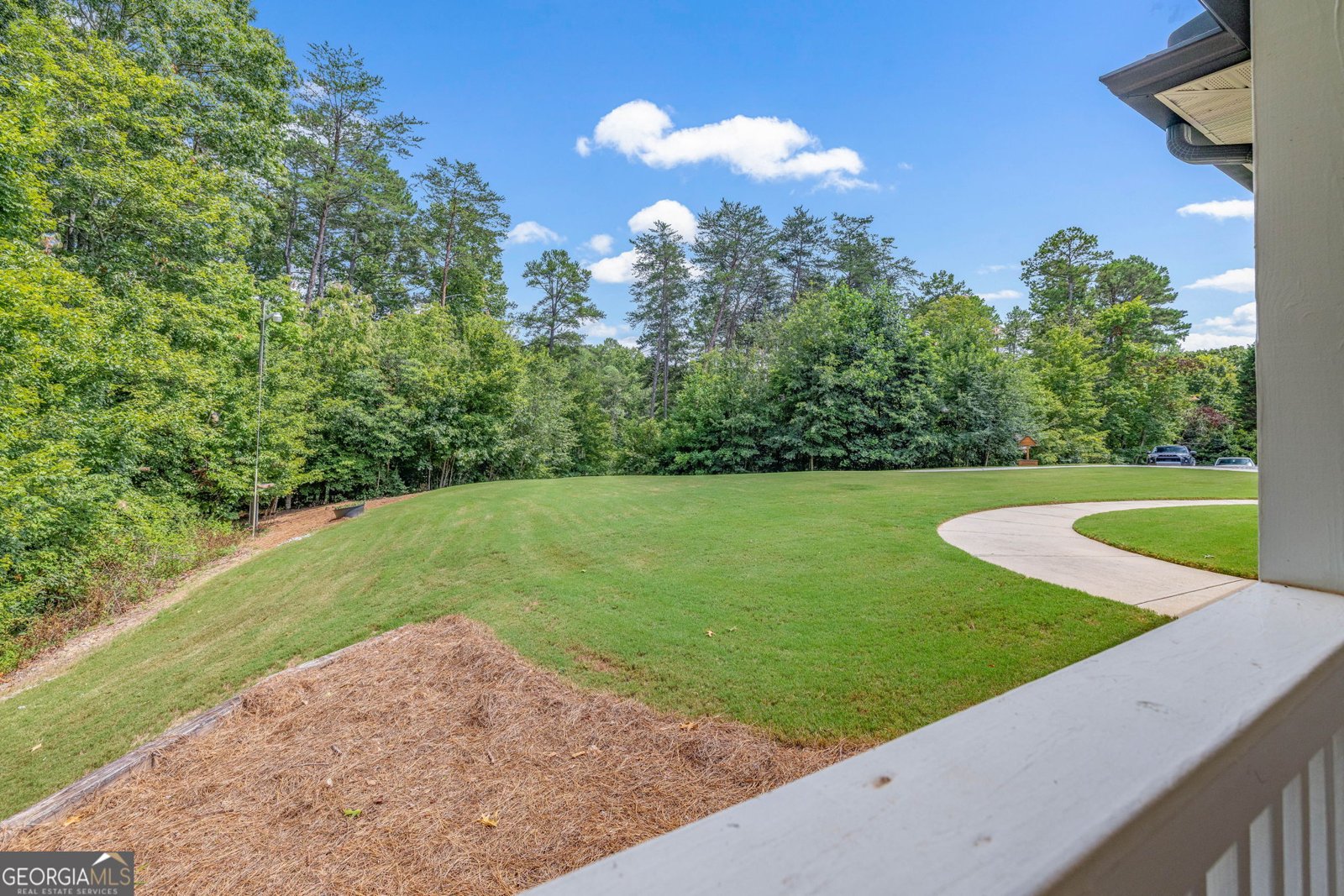 7913 Pea Ridge Road Lula - 2