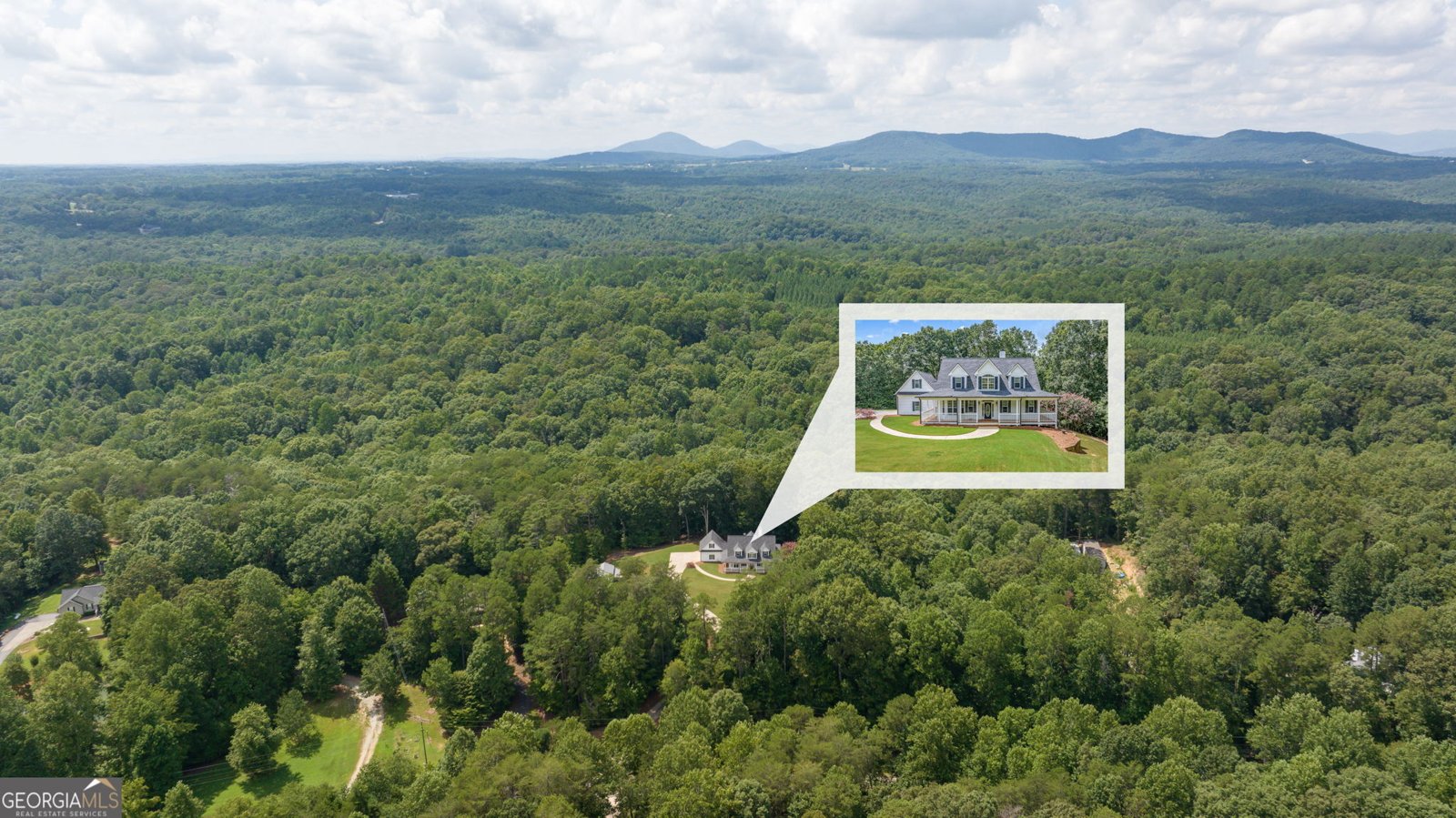 7913 Pea Ridge Road Lula - 24