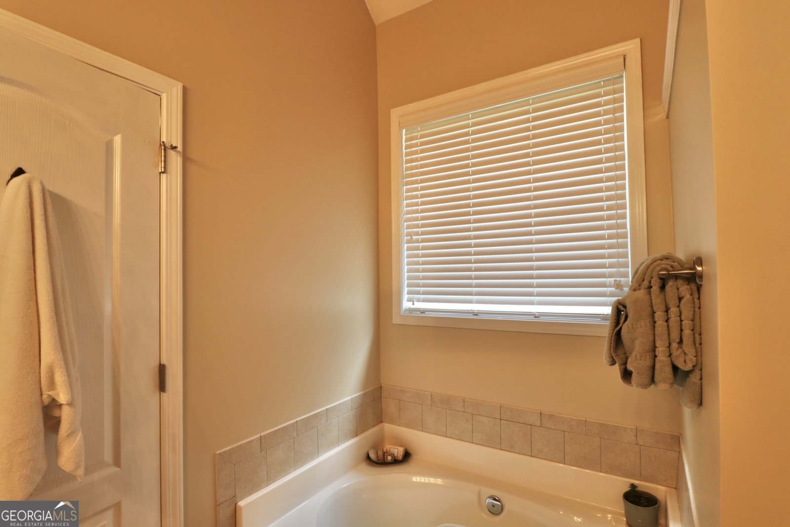190 Roundtree Way Williamson - 38