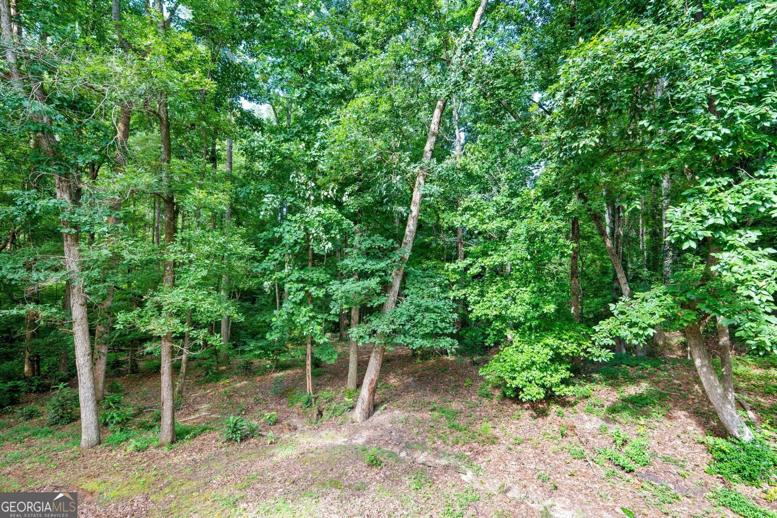 1917 Lake Ridge Court Jonesboro - 41