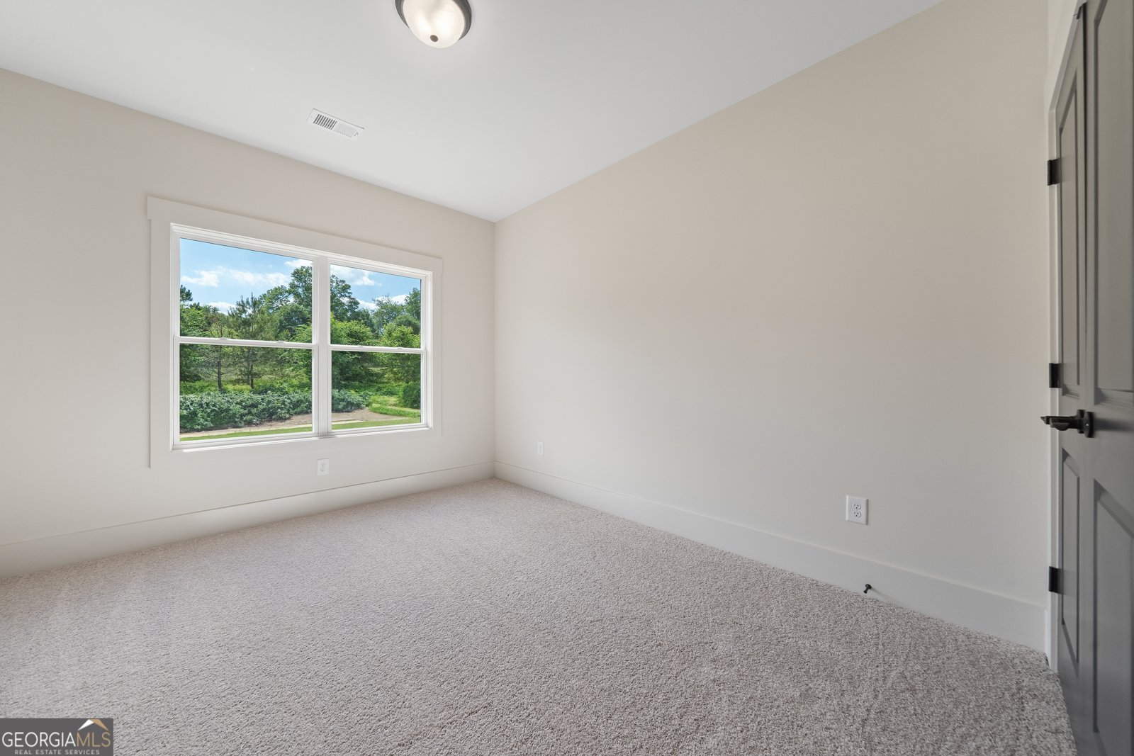 176 Blue Rider Trail Hoschton - 13