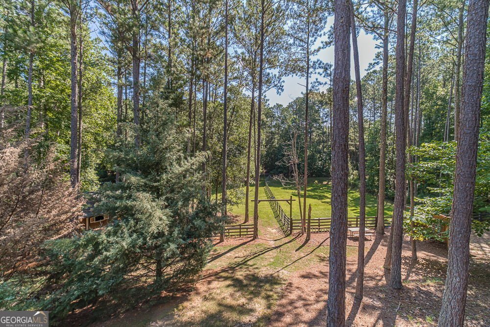 2431 Rabbit Farm Circle Loganville - 24