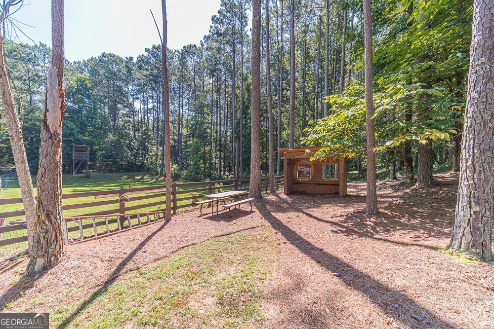 2431 Rabbit Farm Circle Loganville - 25