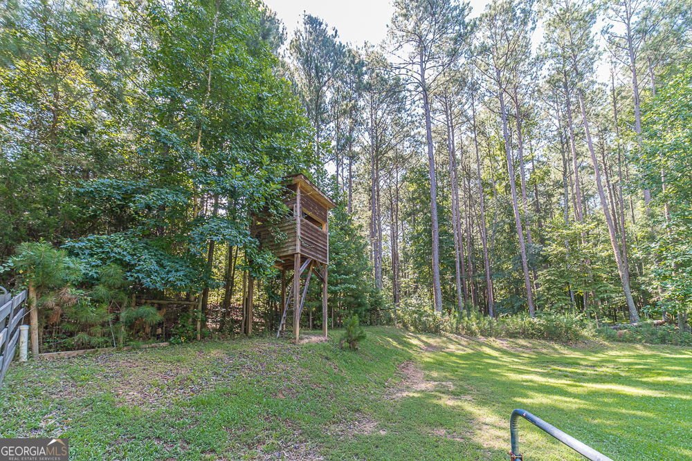 2431 Rabbit Farm Circle Loganville - 27