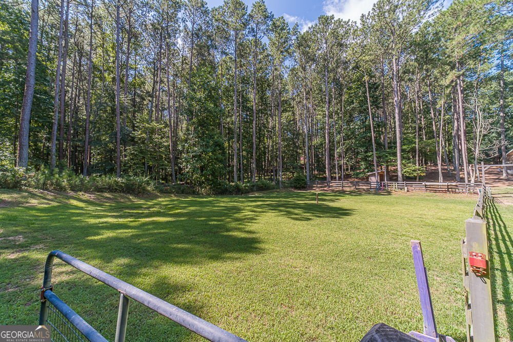 2431 Rabbit Farm Circle Loganville - 28